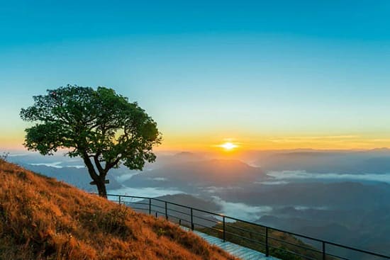 scenic-beauty-view
